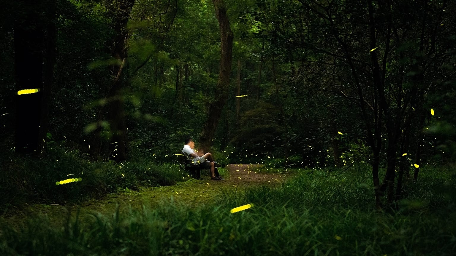 The chemical reaction in fireflies has inspired a new portal bioluminescent device.