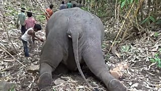 This frame grab from video provided by KK Productions shows an Indian village boy paying