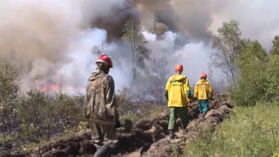 Heißer Mai in Sibirien - Feuer ohne Eis