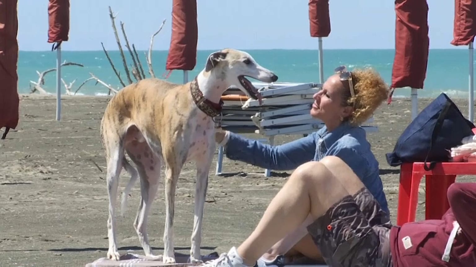 Frau mit Hund am BauBeach