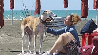 Frau mit Hund am BauBeach