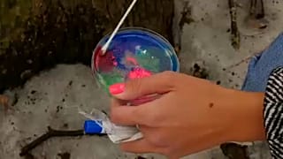 Καλλιέργεια βακτηρίων σε τρυβλίο Πέτρι