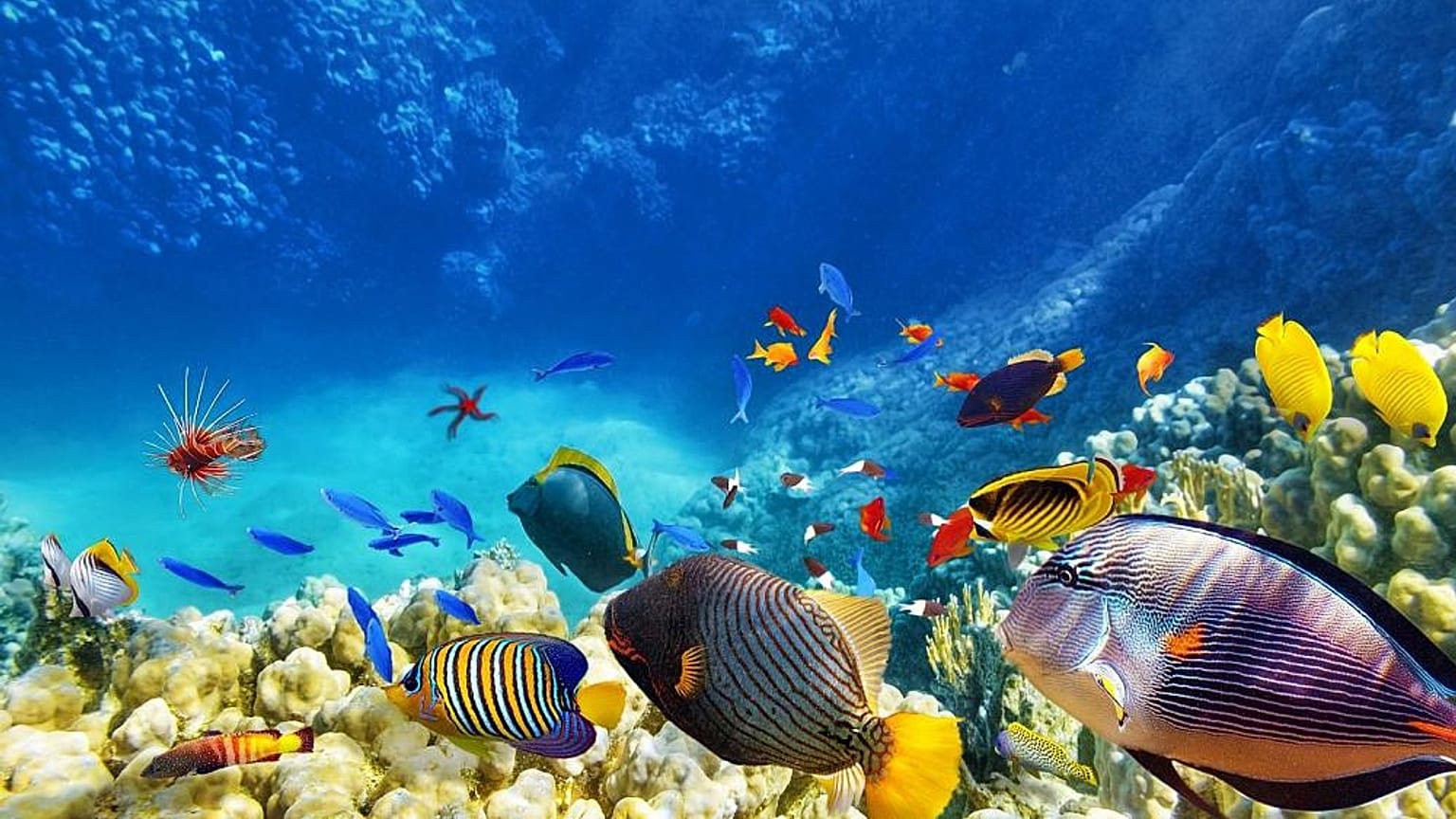 Sostenibilità degli oceani ed economia alleate: il progetto di Ocean Panel