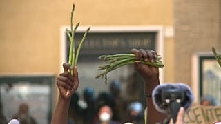 Arbeitsmigranten protestieren in Italien