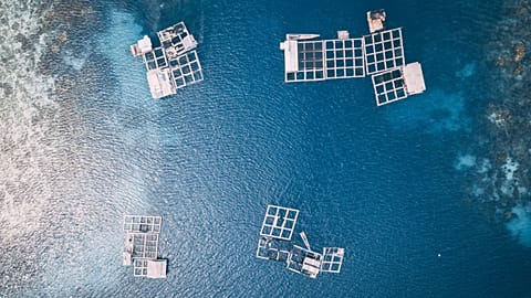 Aquaculture farm