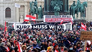 Protest gegen Corona-Regeln in Wien im Januar 2021