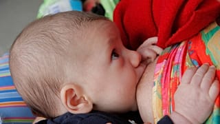 عکس تزئینی است