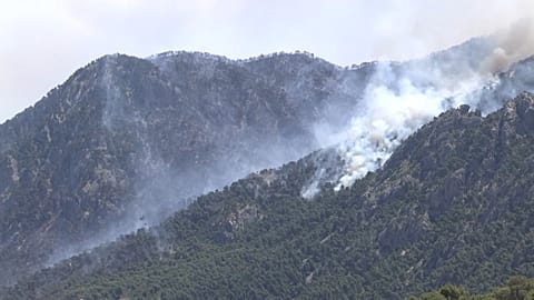 Smoke covering forest near Athens.