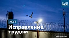 Птица над ИК-3 во Владимирской области