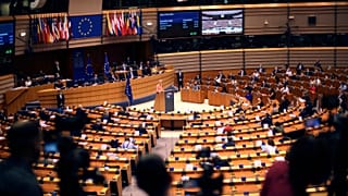 European Parliament