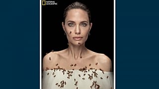 Angelina Jolie mit Bienen,  20.05.2021