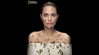 أنجلينا جولي - جلسة تصوير في يوم النحل العالمي