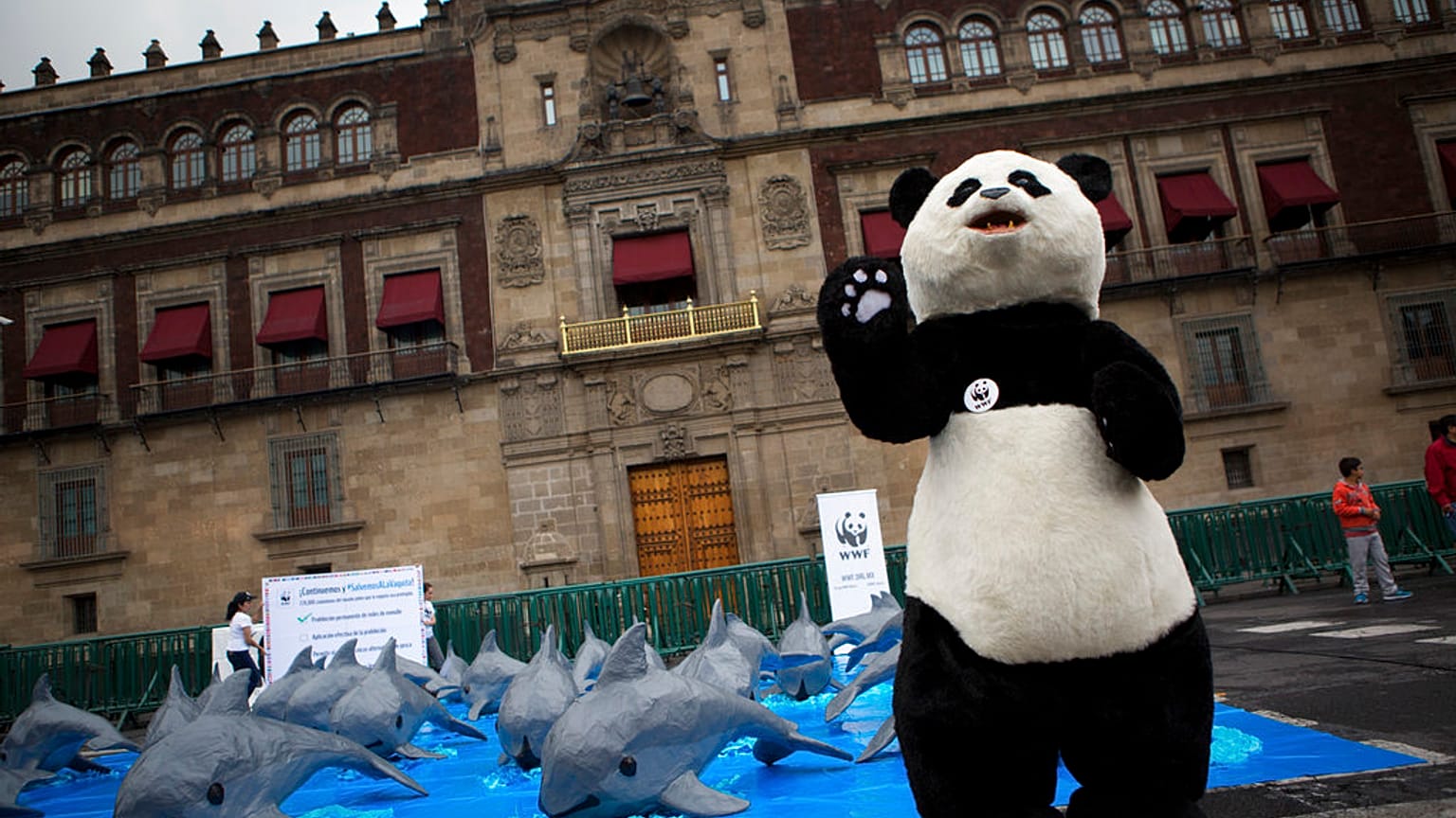 WWF