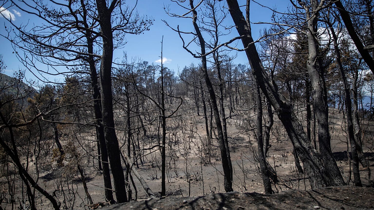 greece fire