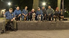 Patkányvadászat New Yorkban