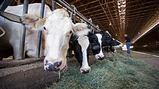 The National Farmers' Union has expressed concern about the deal