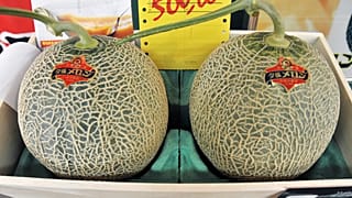 طالبی‌های معروف و گران‌قیمت ژاپنی