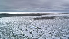 Antarktika'da geçtiğimiz temmuz ayında tarihin kaydedilen en düşük deniz buzu seviyesinin görüldü