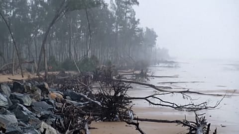 Rainfall of the seashore