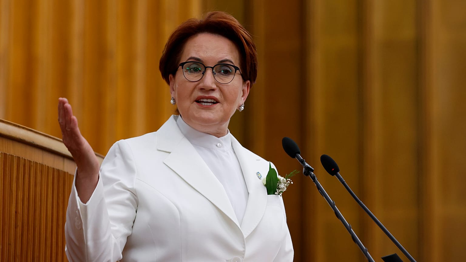 Meral Akşener