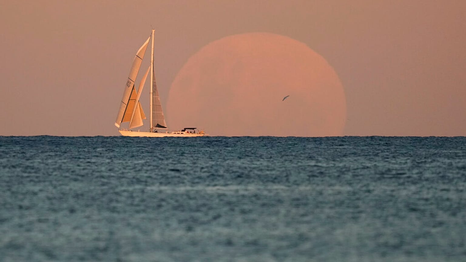Vista de la Super Luna de Sangre en Australia, antes del eclipse
