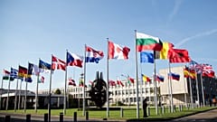 Brüksel'deki NATO üyesi ülkelerin bayrakları
