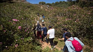 أشخاص يعبرون غابة قرب مدينة الفنيدق الحدودية شمال المغرب في طريقهم إلى جيب سبتة الإسباني يوم الثلاثاء 18 أيار/مايو 2021