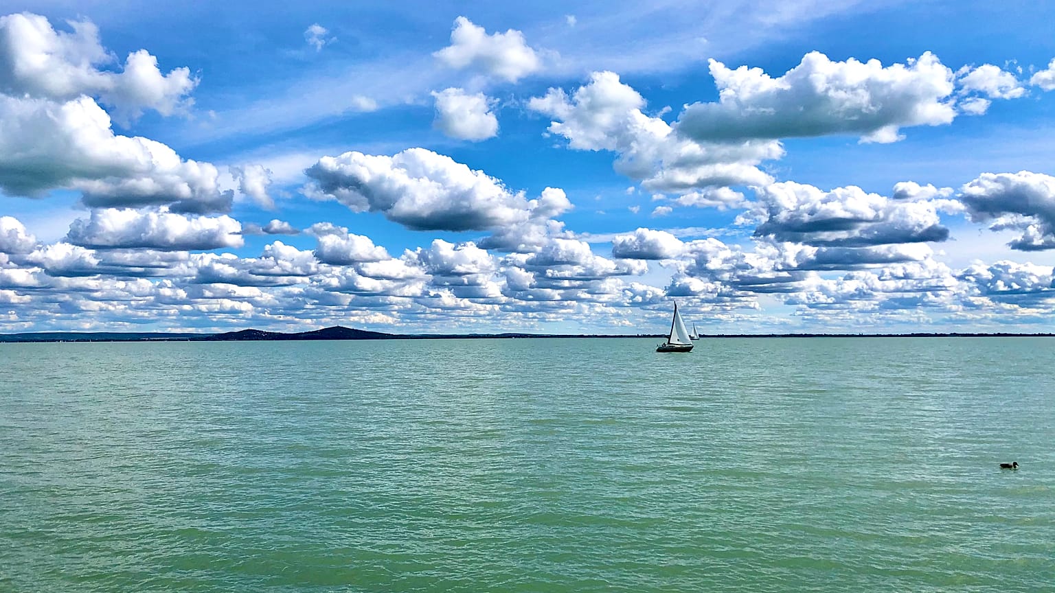 Balaton