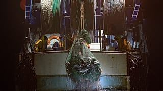 "Seaspiracy": Was tut der Mensch den Ozeanen mit der Fischerei an? 