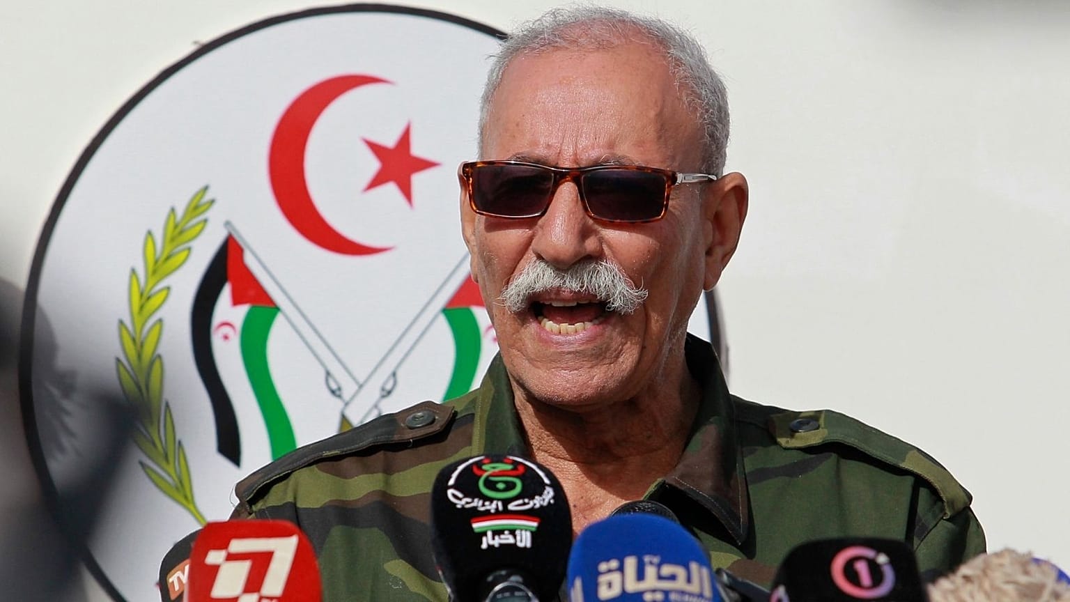 ابراهیم غالی، رهبر جبهه پولیساریو