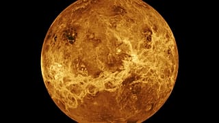  the planet Venus - file photo
