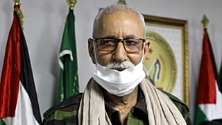 زعيم جبهة البوليساريو إبراهيم غالي