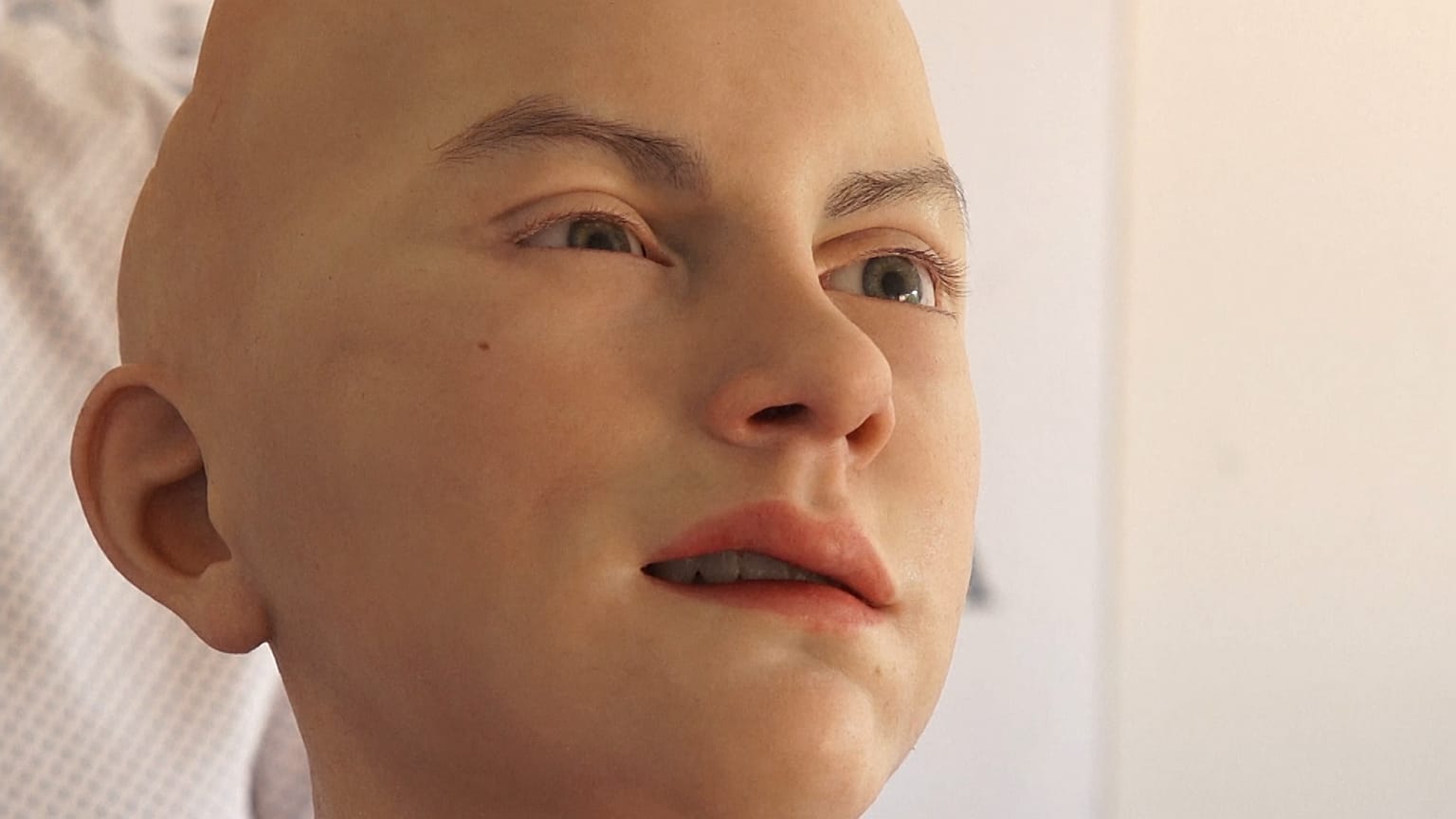 Abel robot