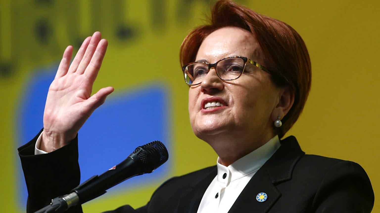 İYİ Parti Başkanı Meral Akşener