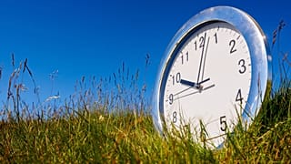 Did you know plants can tell the time?