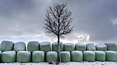 Heuballen werden zur Lagerung in Plastik verpackt, 2019