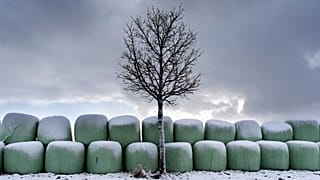 Germania, dicembre 2019: balle di fieno conservate in teloni di plastica