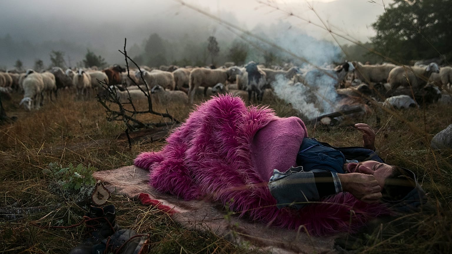Το Βραβείο Athens Photo World κέρδισε ο Δημήτρης Τοσίδης με το θέμα «Διάβα, νομαδικός ποιμαντισμός στην ορεινή Βόρεια Ελλάδα».