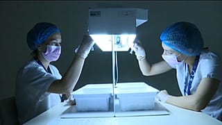 RS Sputnik vaccine production
