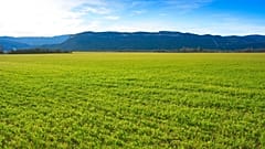 The United Nations has set out plans for a decade of ecosystem restoration