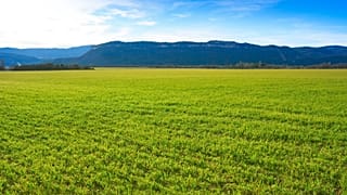 The United Nations has set out plans for a decade of ecosystem restoration