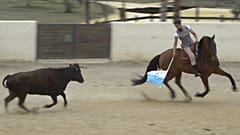 مصارعة الثيران وركوب الخيل