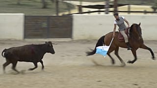 مصارعة الثيران وركوب الخيل