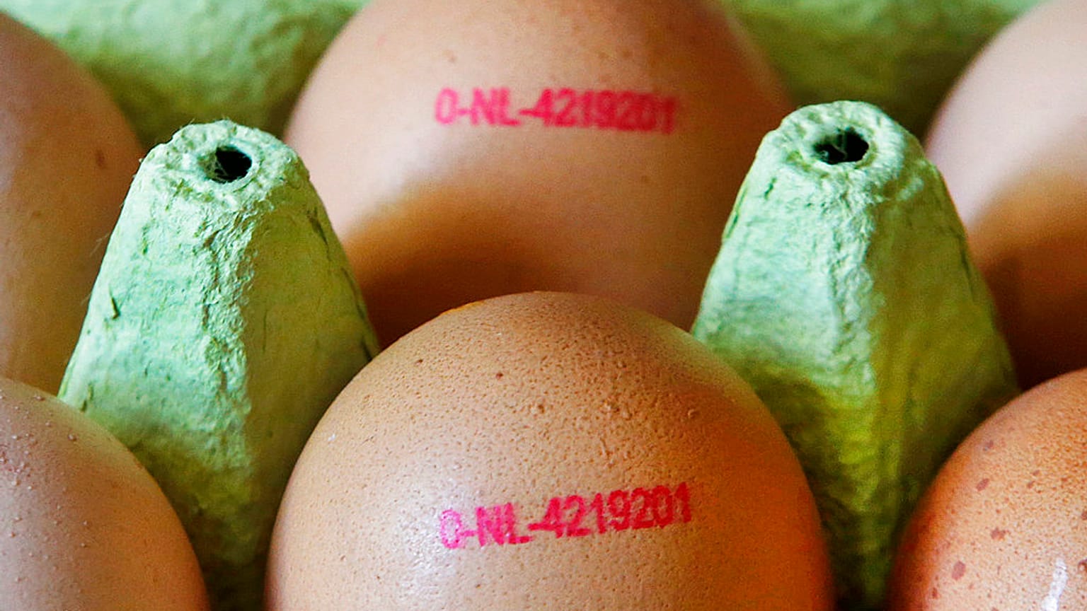 2017 wurden 73.000 mit Fipronil verseuchte Eier aus den Niederlanden aus deutschen Supermärkten zurückgerufen