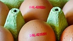 2017 wurden 73.000 mit Fipronil verseuchte Eier aus den Niederlanden aus deutschen Supermärkten zurückgerufen