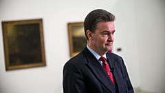 Habsburg György Az első aranykor - Az Osztrák-Magyar Monarchia festészete és a Műcsarnok című kiállításon tartott tárlatvezetésen 2017-ben