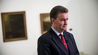 Habsburg György Az első aranykor - Az Osztrák-Magyar Monarchia festészete és a Műcsarnok című kiállításon tartott tárlatvezetésen 2017-ben