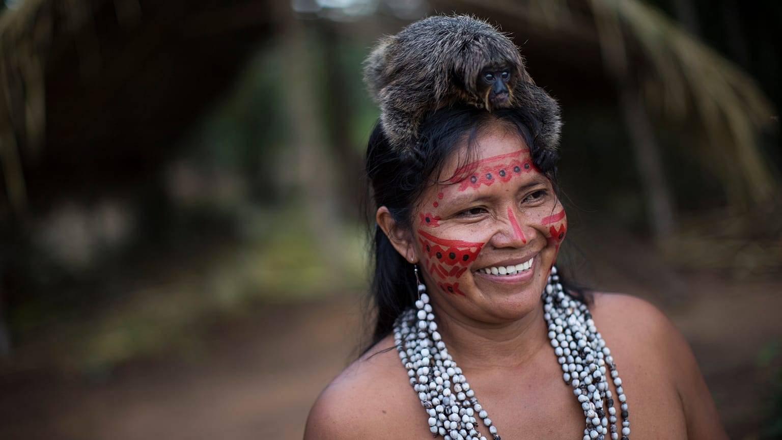 What about the diets of Tsimane Indigenous peoples makes their brain capacities last longer?
