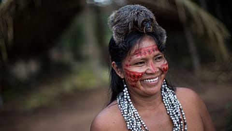 What about the diets of Tsimane Indigenous peoples makes their brain capacities last longer?