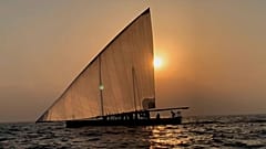 سباق الزوارق الشراعية - دبي